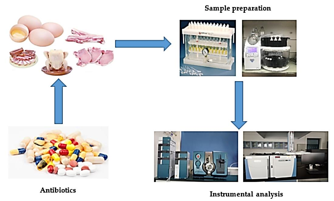 Foods | Free Full-Text | Veterinary Drug Residues in Animal-Derived Foods:  Sample Preparation and Analytical Methods