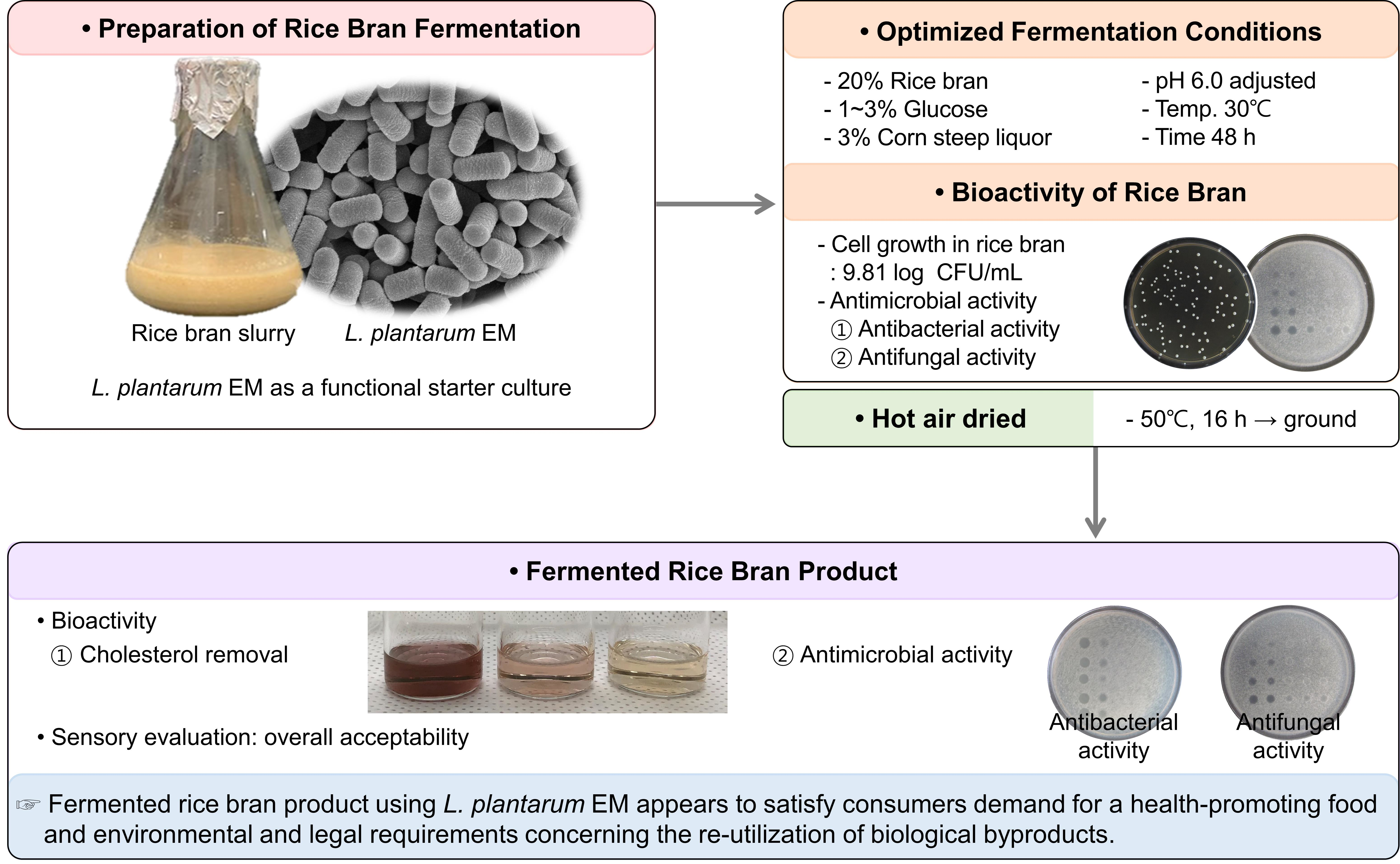 Foods | Free Full-Text | Rice Bran Fermentation Using
