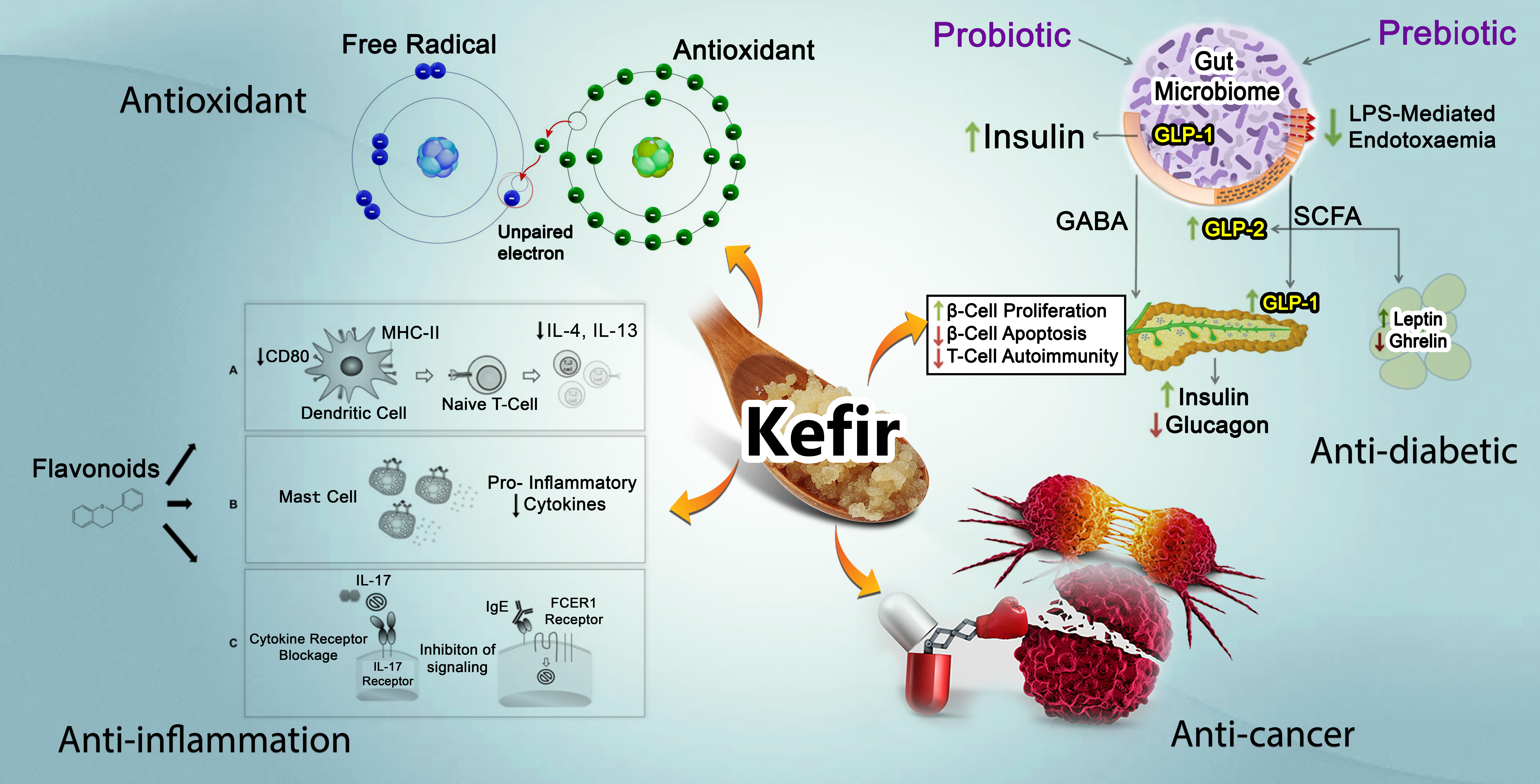 Kefir, Description, History, Origin, Probiotics, Benefits, & Facts