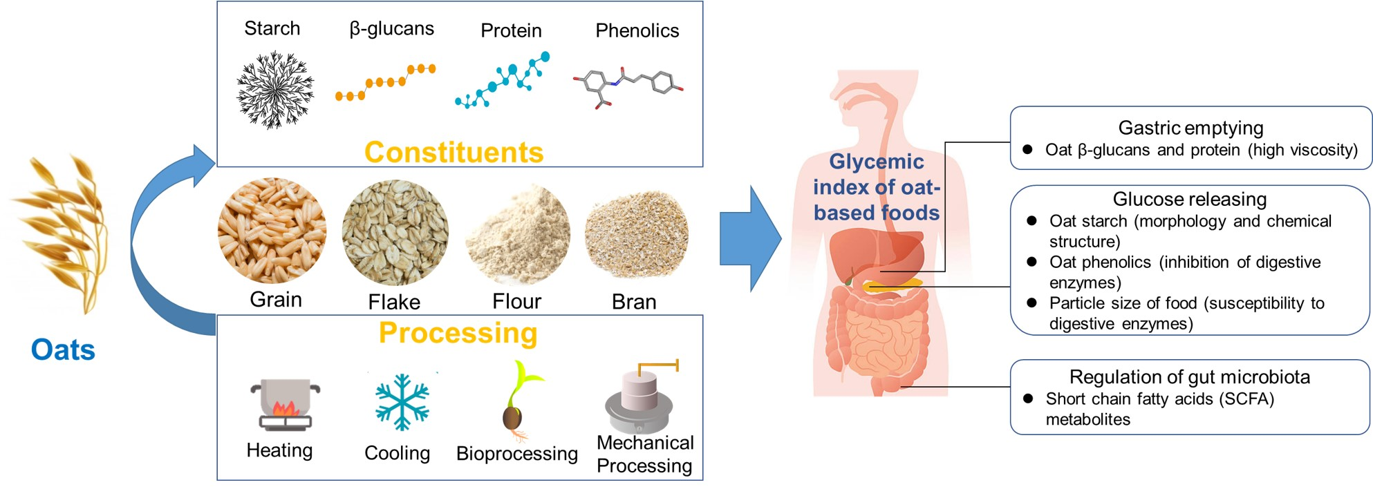 Umgubo weProtein yeOat 40%-60% umthengisi weYangge Biotech Umgubo weProtein yeOat 40%-60% umthengisi weYangge Biotech