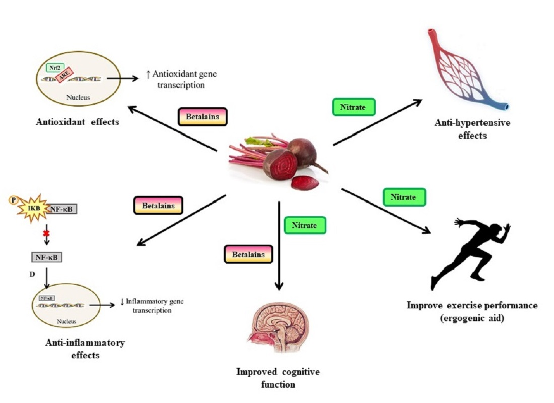 Functional Applications Functional Applications