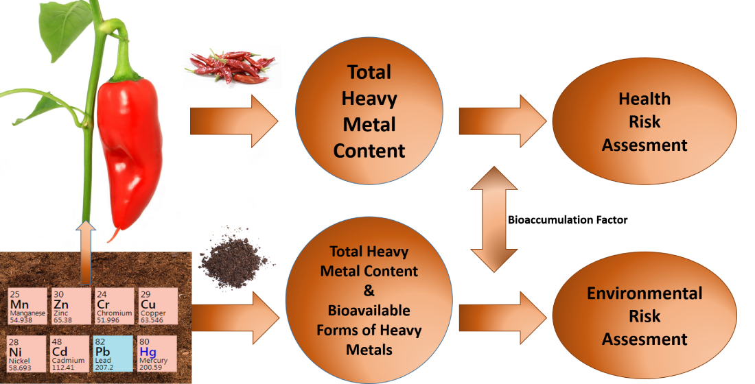 Foods | Free Full-Text | Heavy Metals Presence in the Soil and 