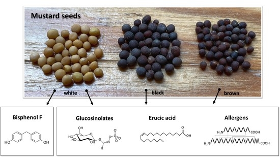 Mustard Seed Plant Life Cycle Mustard Seed Plant Life Cycle