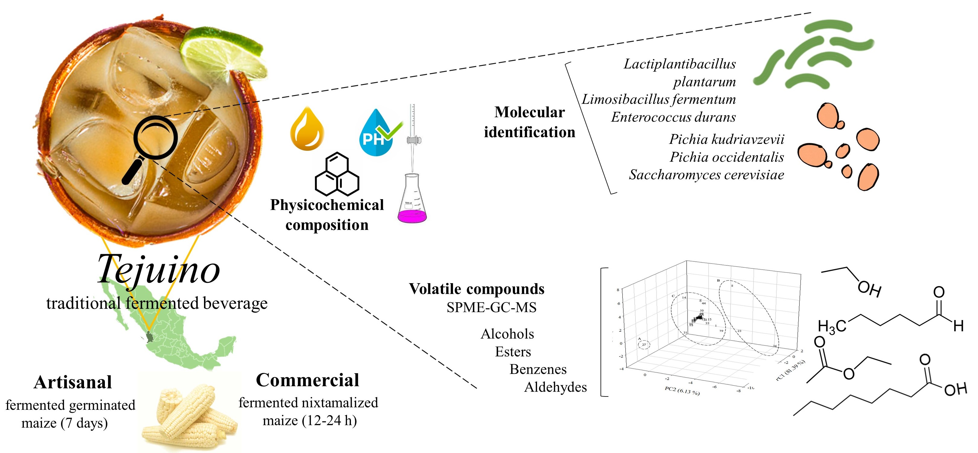 https://pub.mdpi-res.com/foods/foods-10-02446/article_deploy/html/images/foods-10-02446-ag.png?1634209816