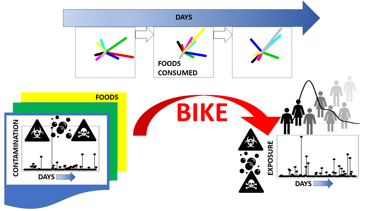 Foods Free Full-Text BIKE Dietary Exposure Model for Foodborne Microbiological and Chemical Hazards