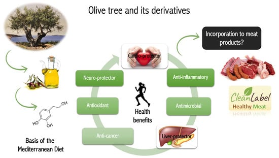 What are the health benefits of Oleuropein powder? What are the health benefits of Oleuropein powder?