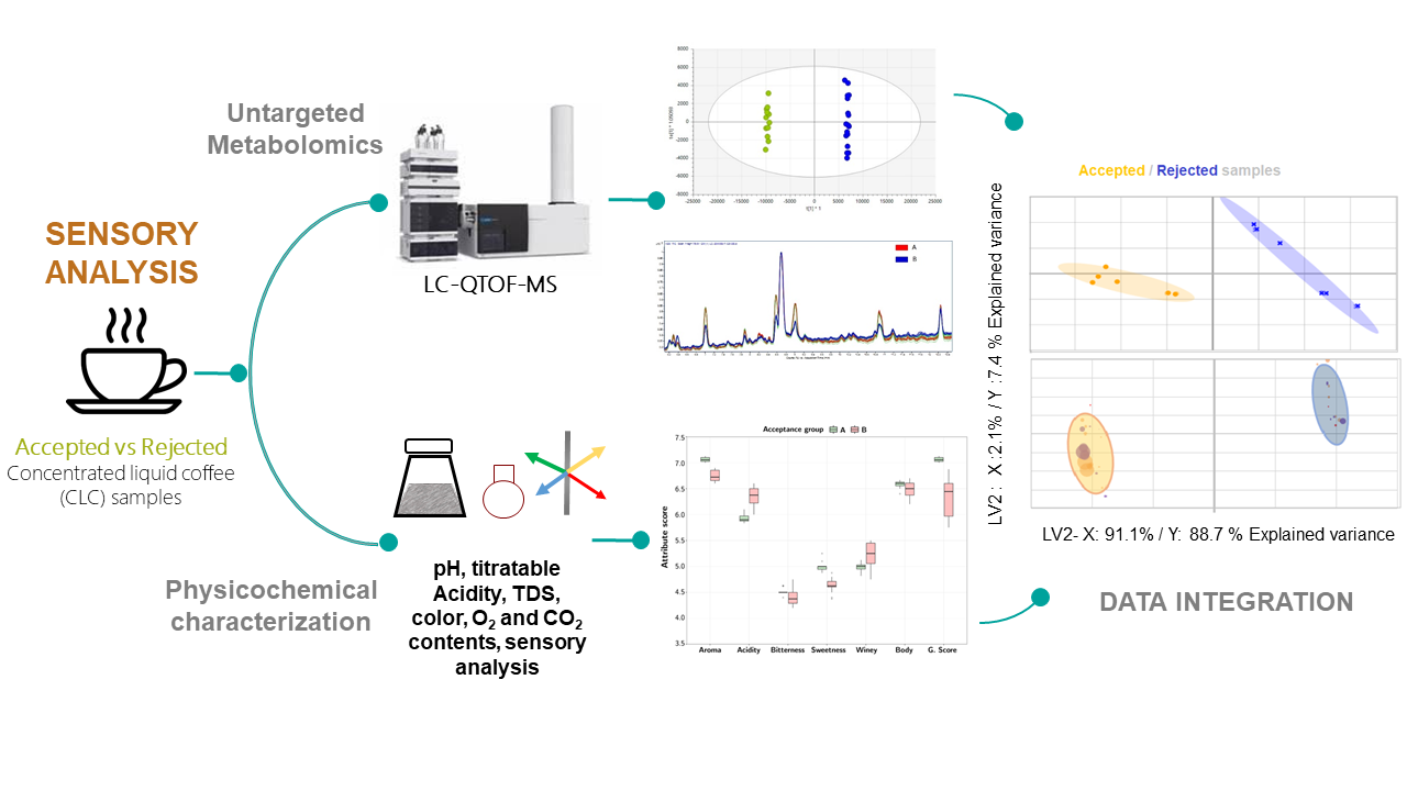 Untargeted mass spectrometry-based metabolomics approach unveils  biochemical changes in compound probiotic fermented milk during  fermentation