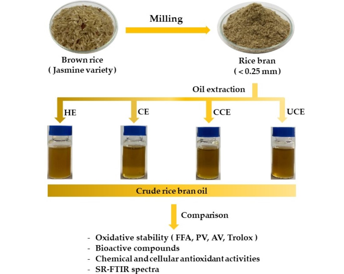 Rice Bran Oil: Nutrition, Extraction Process, Health Benefits For