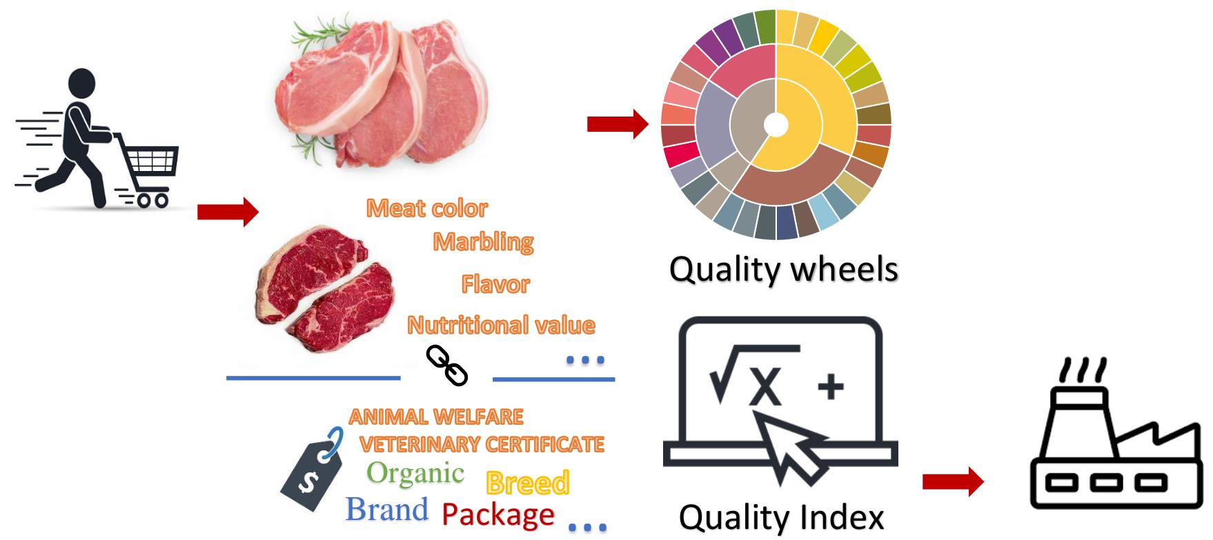 Guilt of the Meat‐Eating Consumer: When Animal Anthropomorphism Leads to  Healthy Meat Dish Choices - Kim - 2021 - Journal of Consumer Psychology -  Wiley Online Library