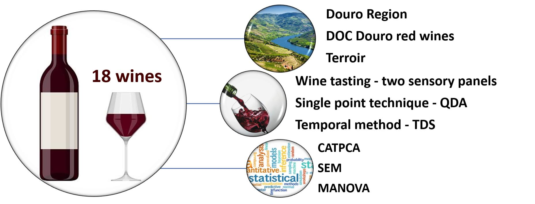 WSET Level 2 Systematic Approach To Tasting Wine: Appearance, PDF, Aroma  Of Wine