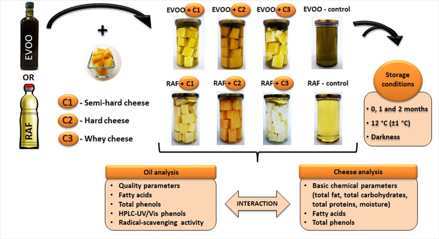 Assessment of the Minor-Component Transformations in Fat during the Green  Spanish-Style Table Olive Processing
