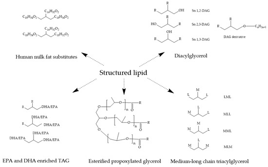 Foods | Free Full-Text | Future of Structured Lipids: Enzymatic 