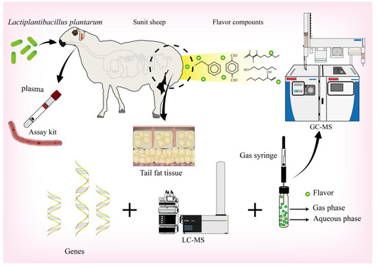 https://pub.mdpi-res.com/foods/foods-11-02644/article_deploy/html/images/foods-11-02644-g001-550.jpg?1661940954