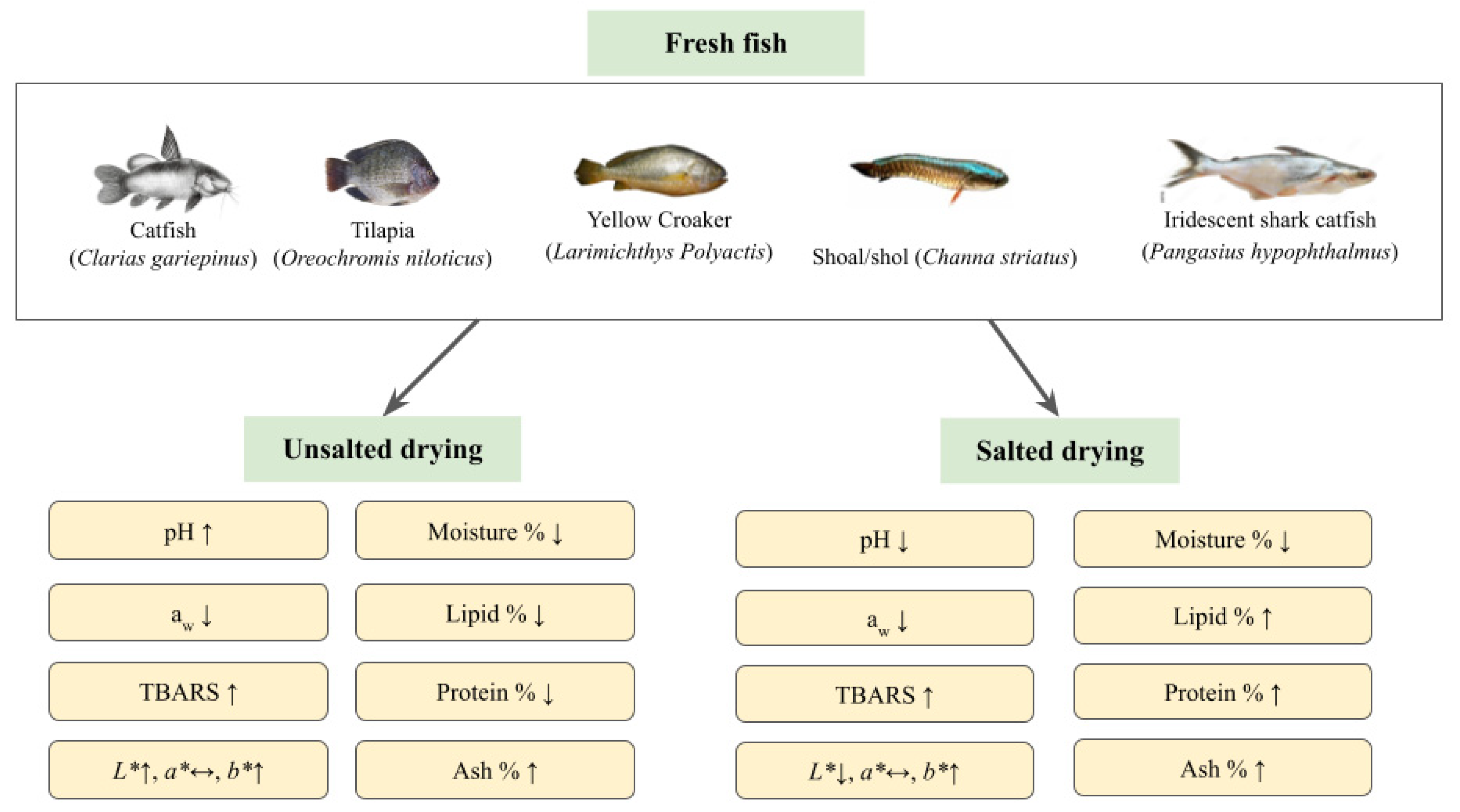 research paper about dried fish