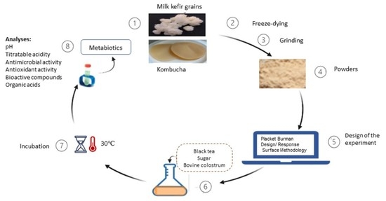 Kefiran the Kefir Grains with more Exopolysaccharides