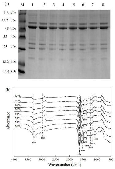 Study on Protein Structures of Eight Mung Bean Varieties and Freeze ...