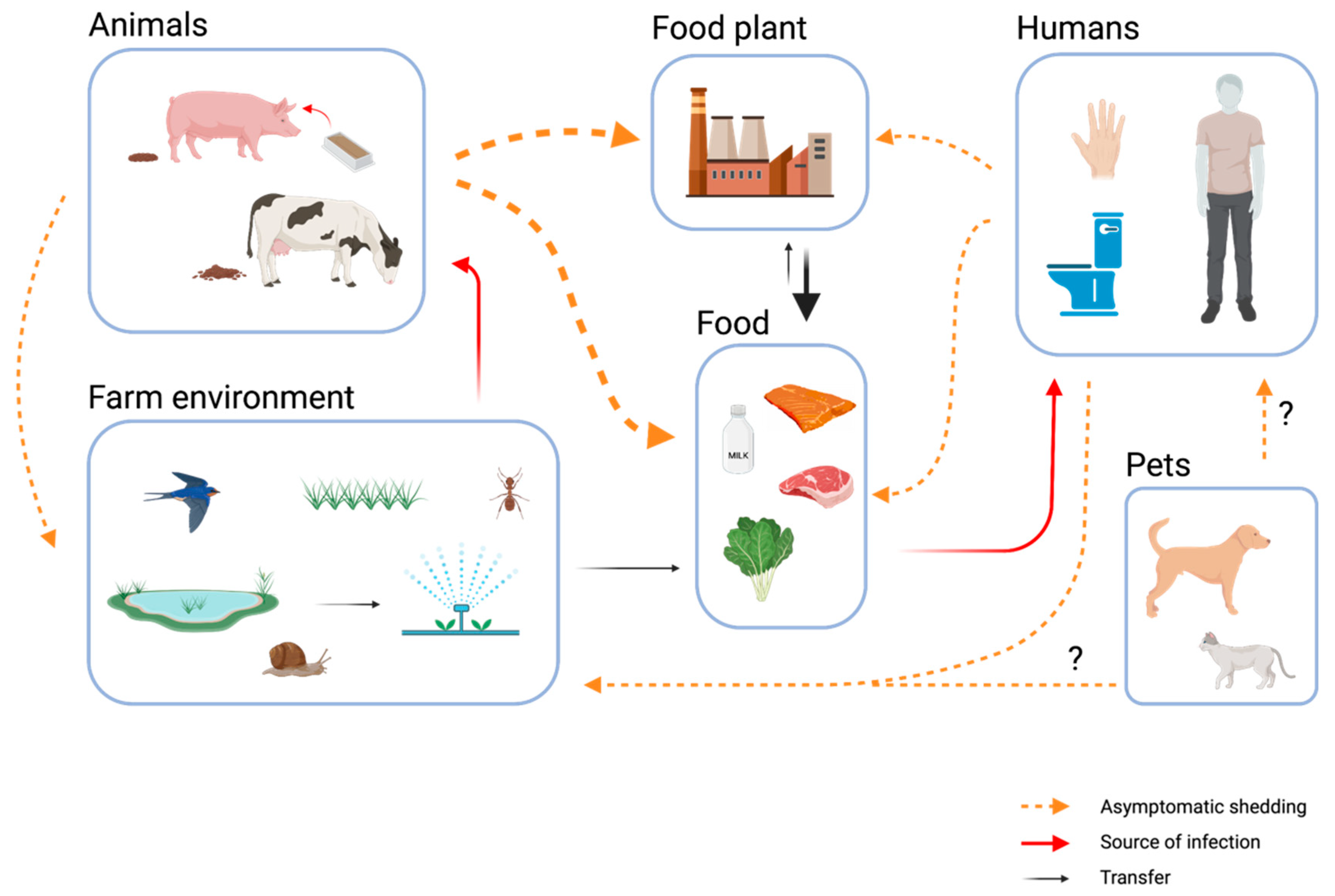 Foods | Free Full-Text | Asymptomatic Carriage of Listeria monocytogenes by  Animals and Humans and Its Impact on the Food Chain