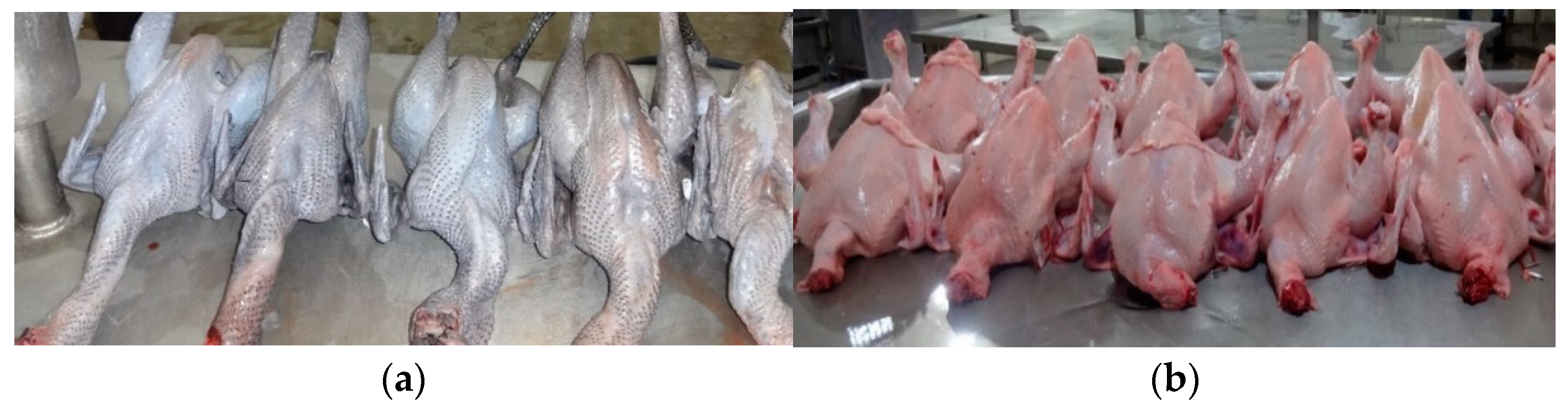 Carcass Characteristics Meat Quality And Nutritional Composition Of 