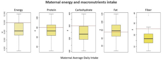 Foods | Free Full-Text | Maternal Diet Quality and the Health 