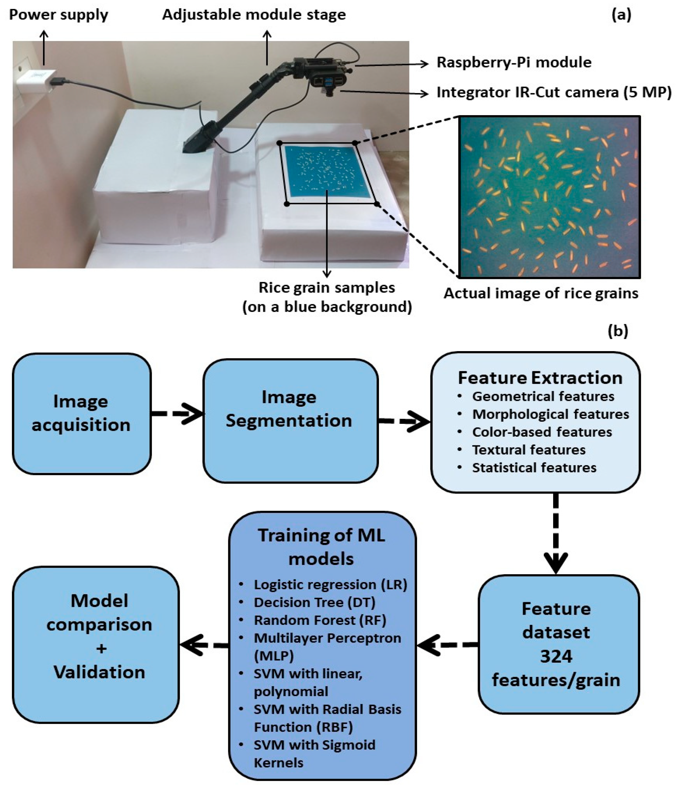 An Automated Image Processing Module For Quality Evaluation Of Milled Rice An Automated Image Processing Module For Quality Evaluation Of Milled Rice