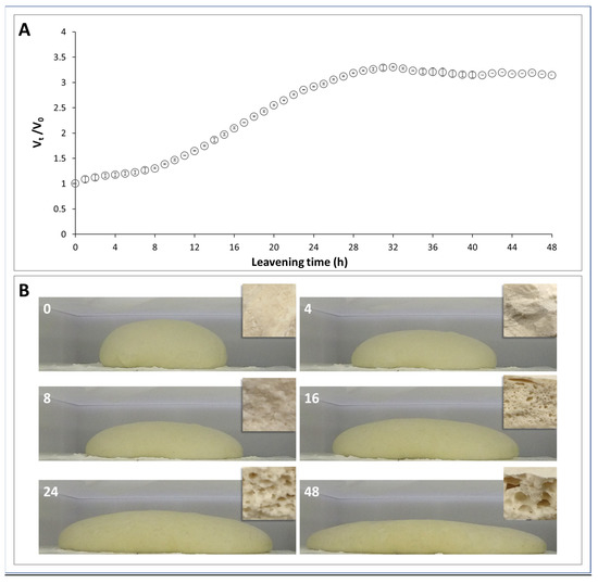 Foods Free FullText Study of PhysicoChemical Properties of Dough