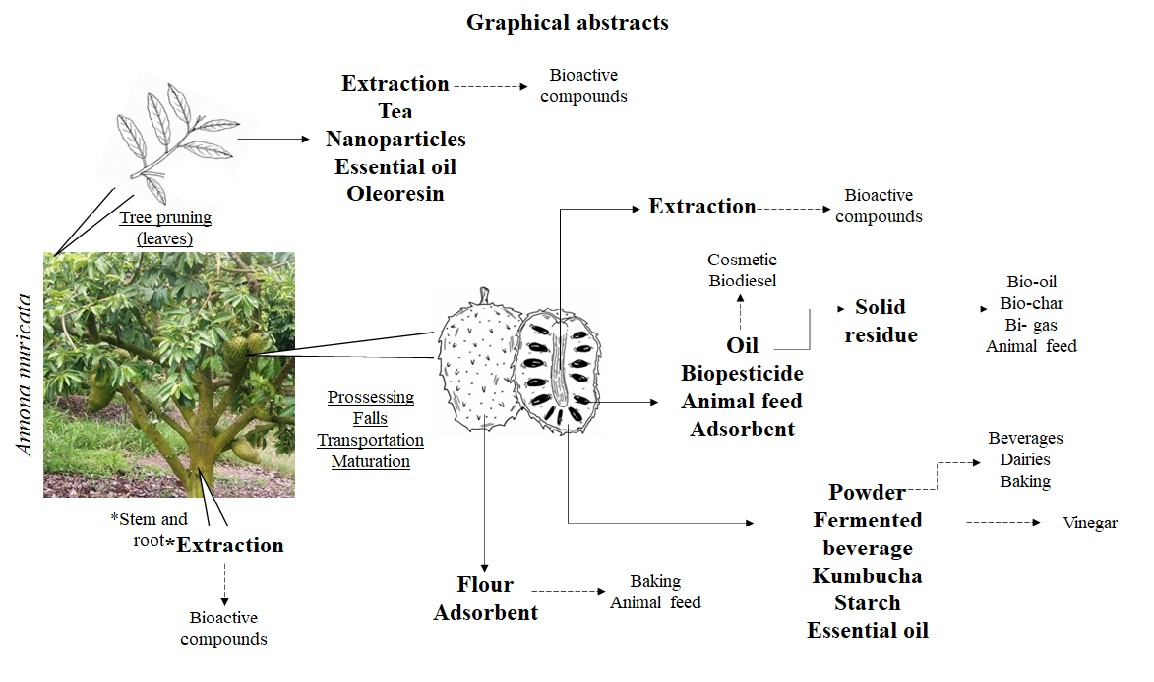 Foods Free Full-Text Soursop (Annona muricata) Properties and Perspectives for Integral Valorization