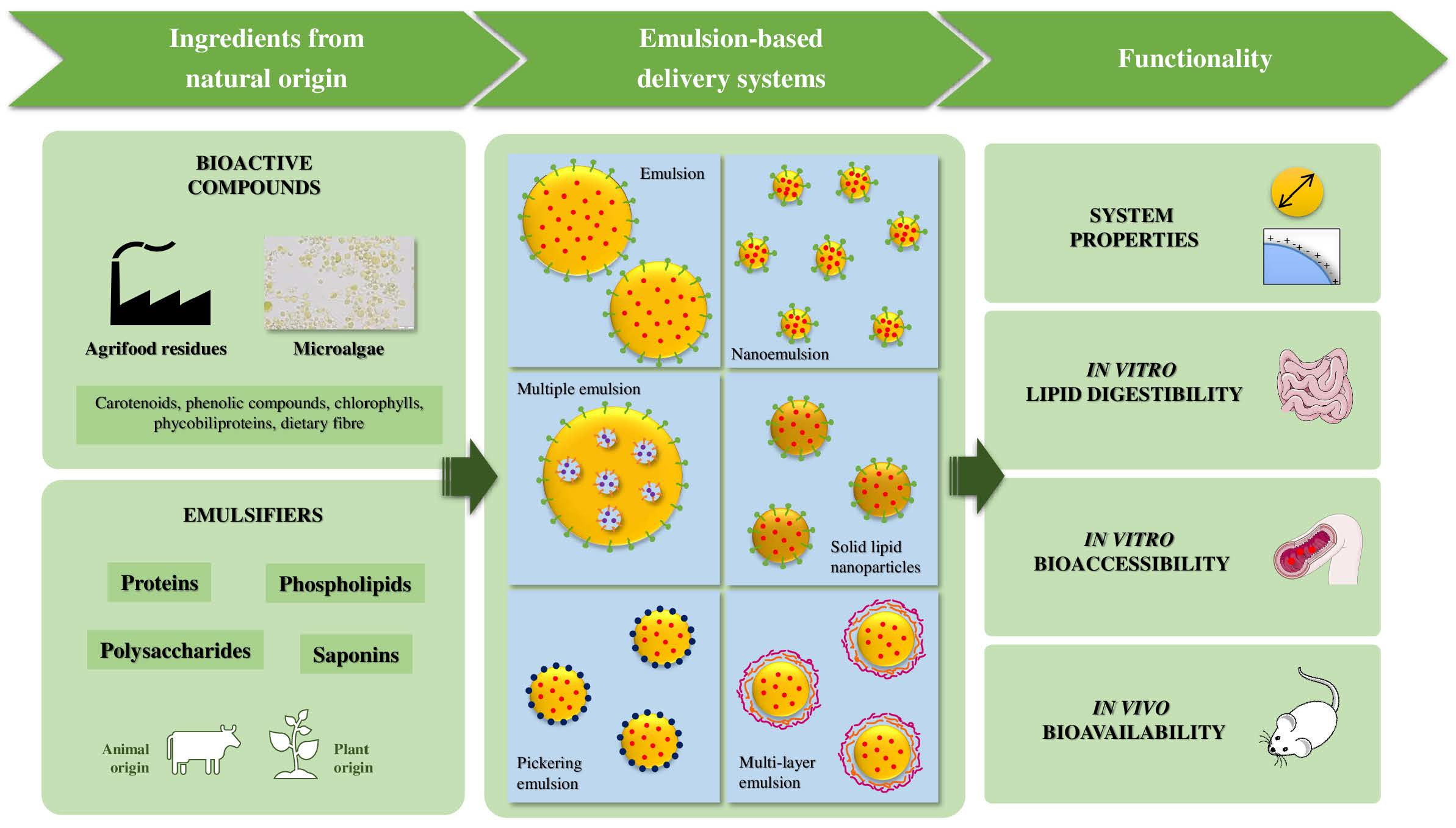 Food Emulsifiers utilized in Food Systems a
