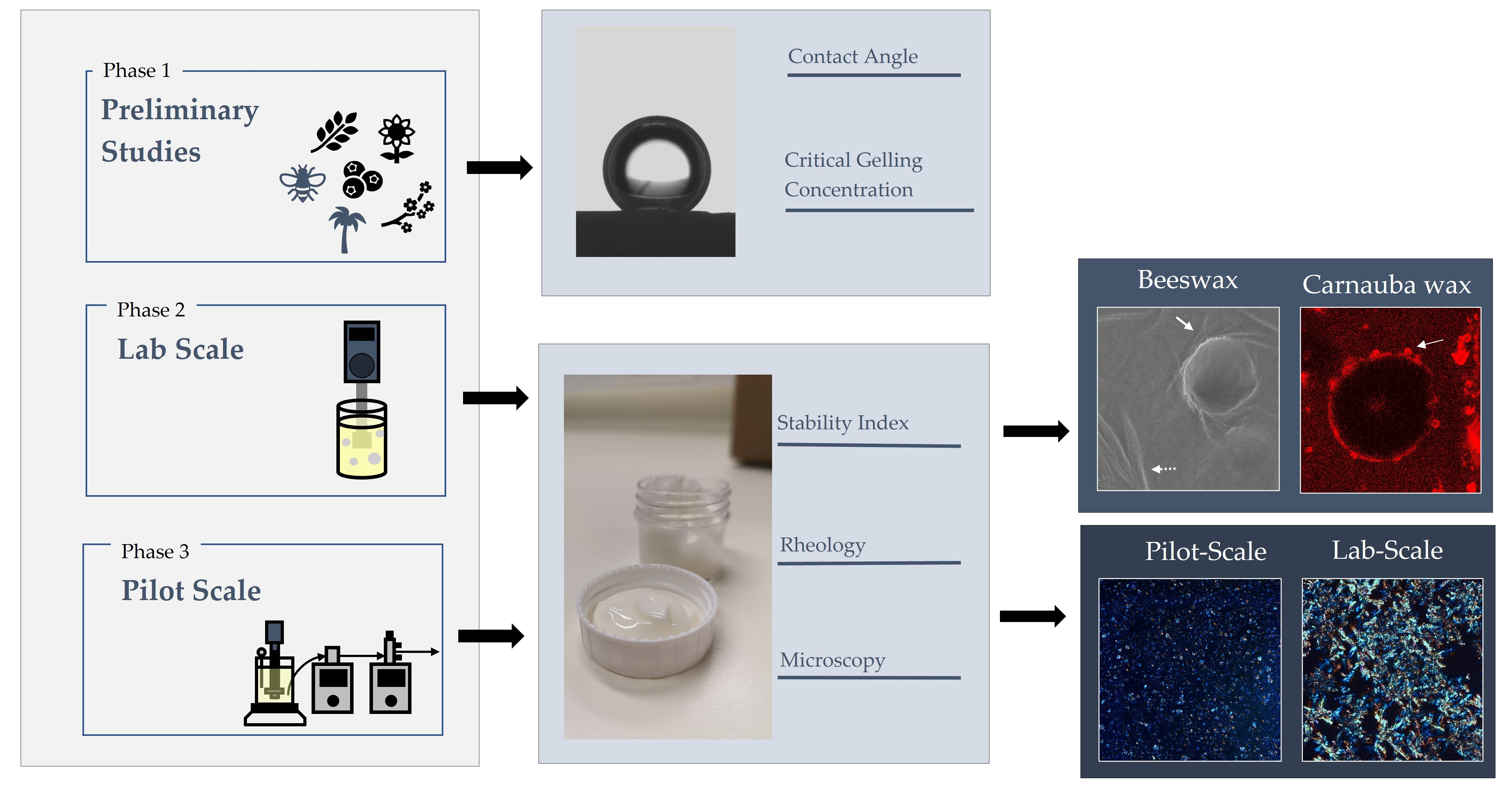 Carnauba wax emulsions for food contact applications Control slip