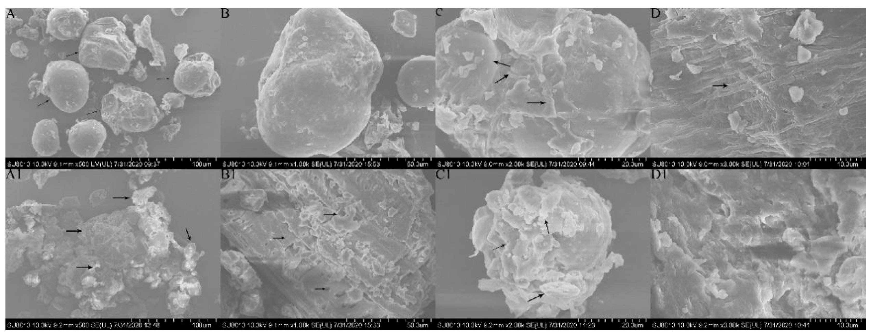 foods-free-full-text-effects-of-co-modification-by-extrusion-and