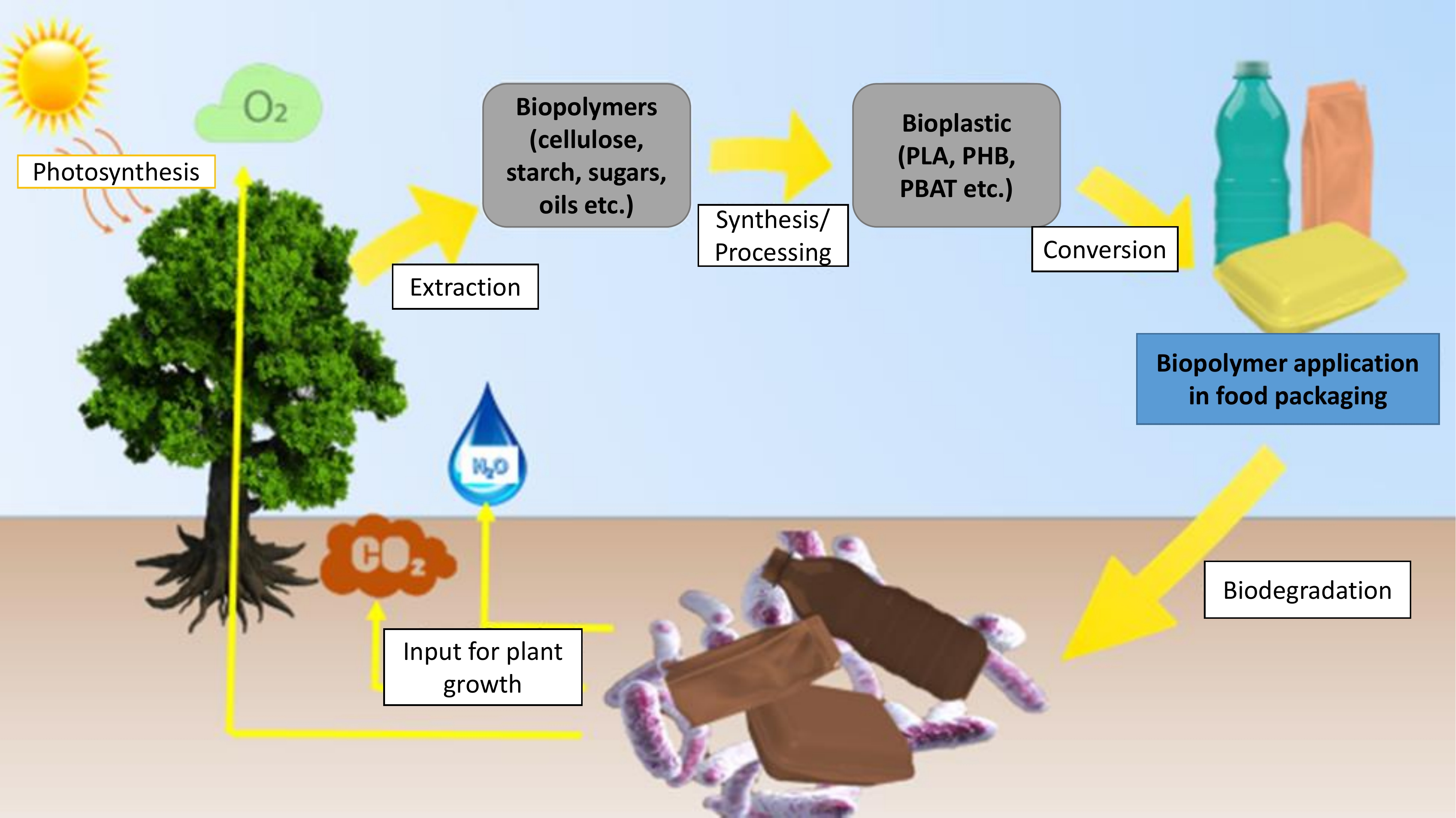 Thermoplastic Biopolymers - Prospector Knowledge Center