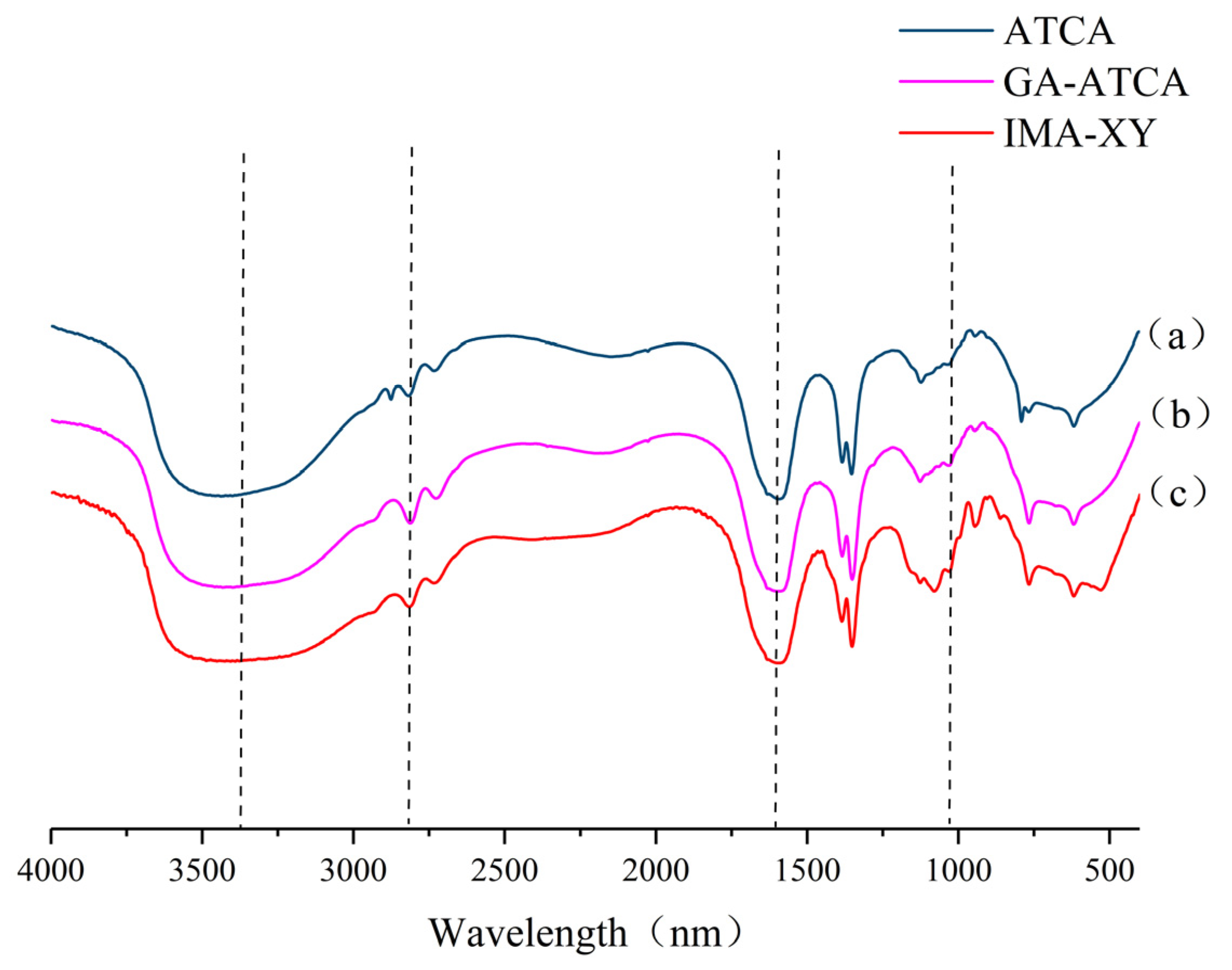 Foods Free Full-Text Thermodynamics and Physicochemical Properties of Immobilized Maleic Anhydride-Modified Xylanase and Its Application in the Extraction of Oligosaccharides from Wheat Bran bild Foto