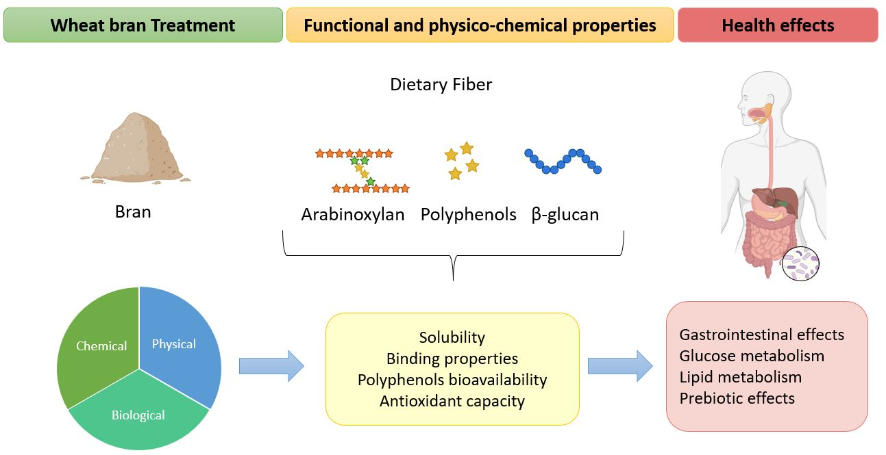 Preparation, physicochemical properties, and in vivo digestibility