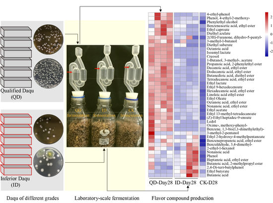全ての Flavor  and Ethanol of Production the and Quality Daqu Affects Community Microbial Compounds Fermentation Baijiu in パンツ