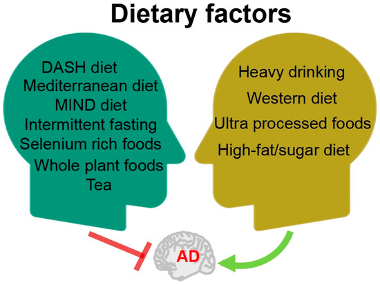 Cotton Ball Diet. Learn everything about what is known as…, by Sikander  Siddiqui