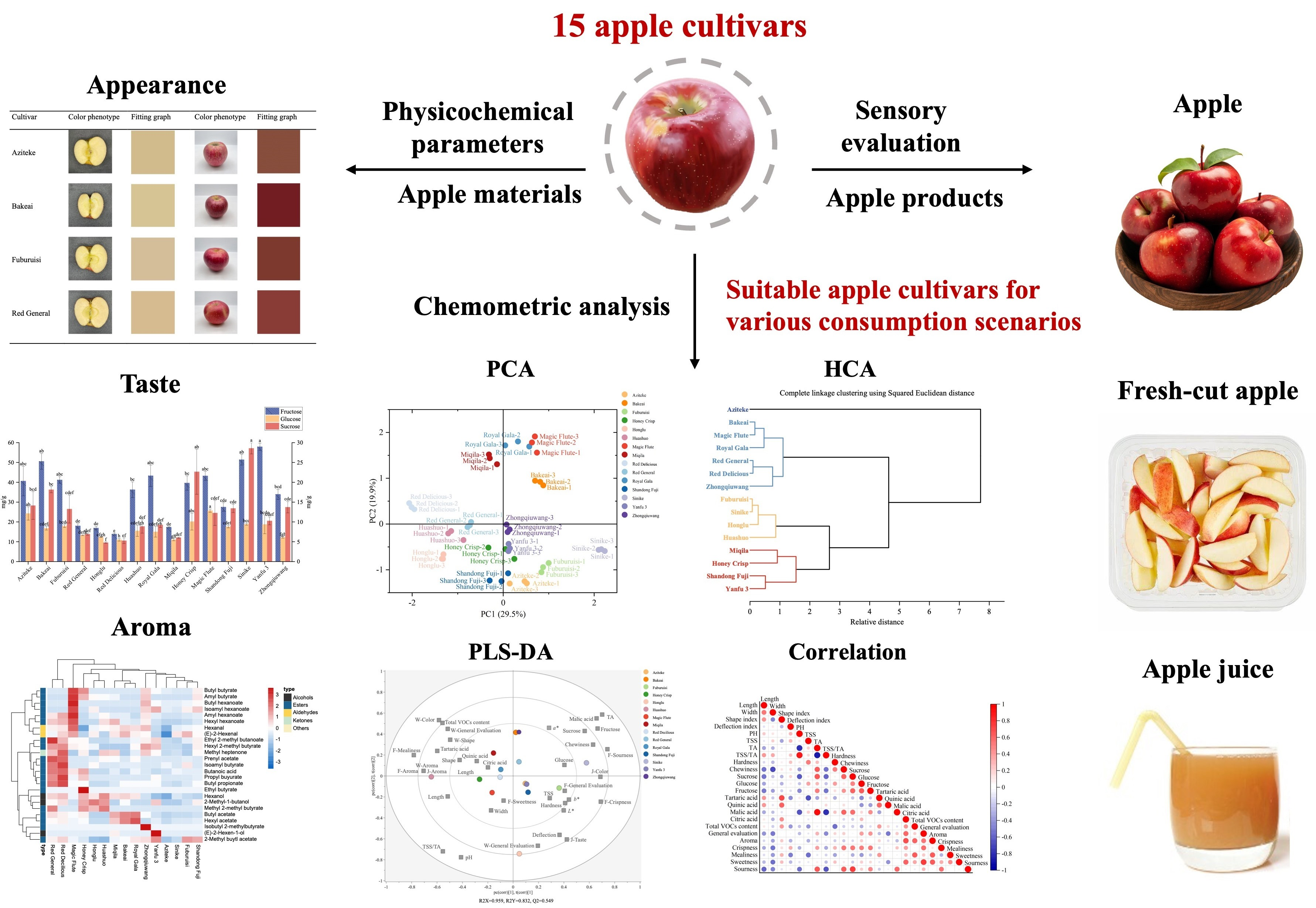 PDF) Determination of size and shape properties of apricots using  multivariate analysis