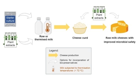 Bulk Cheese Solutions (Infographic)