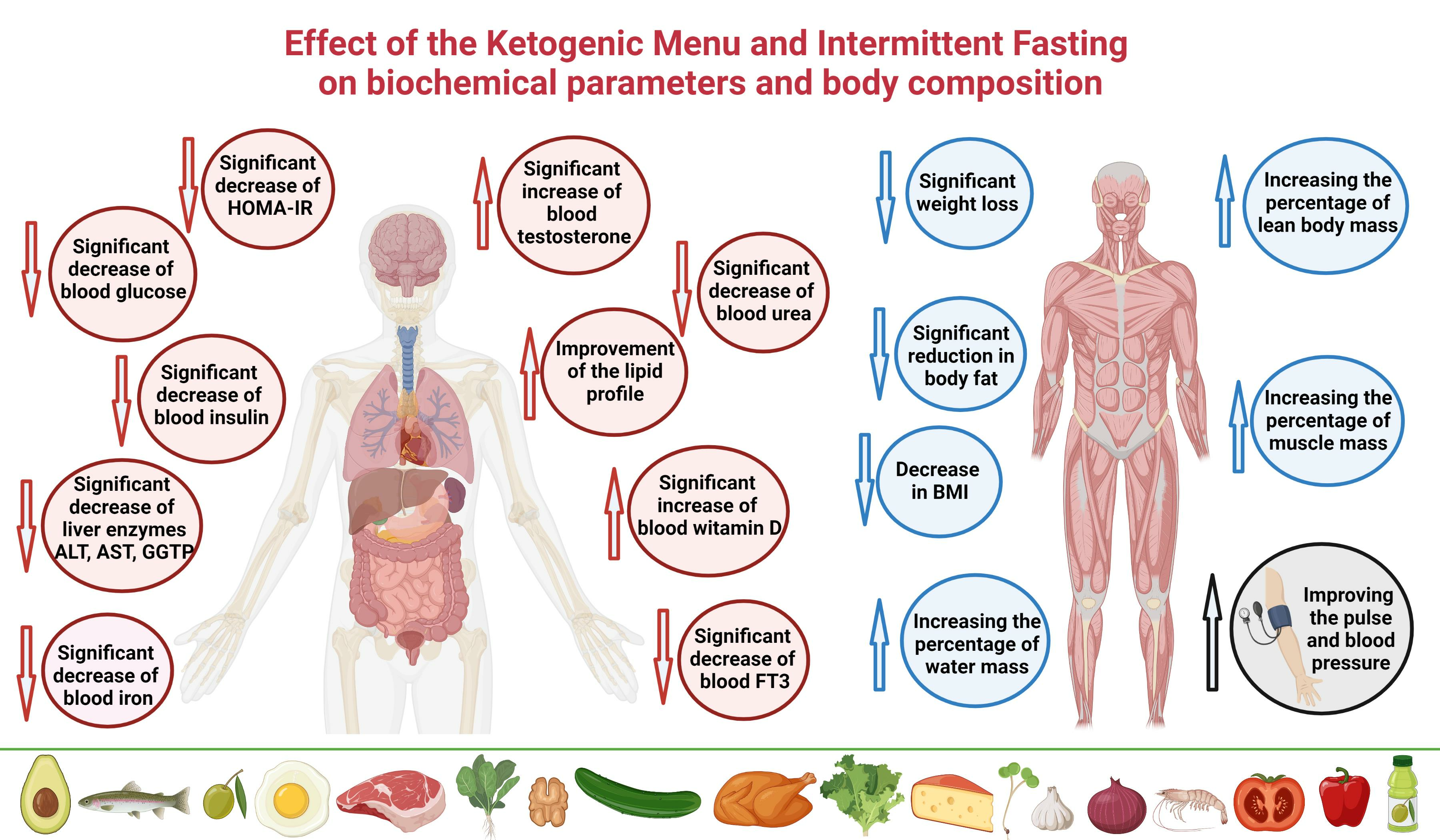 Foods Free Full-Text Keto Menuandndash;Effect of Ketogenic Menu and Intermittent Fasting on the Biochemical Markers and Body Composition in a Physically Active Manandmdash;A Controlled Case Study image