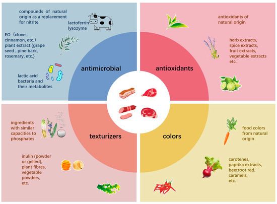 Foods | Free Full-Text | Cell-Free Supernatant of Lactiplantibacillus ...