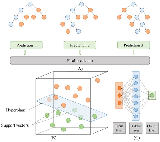 Modelling Polyphenol Extraction Through Ultrasound-Assisted Extraction ...