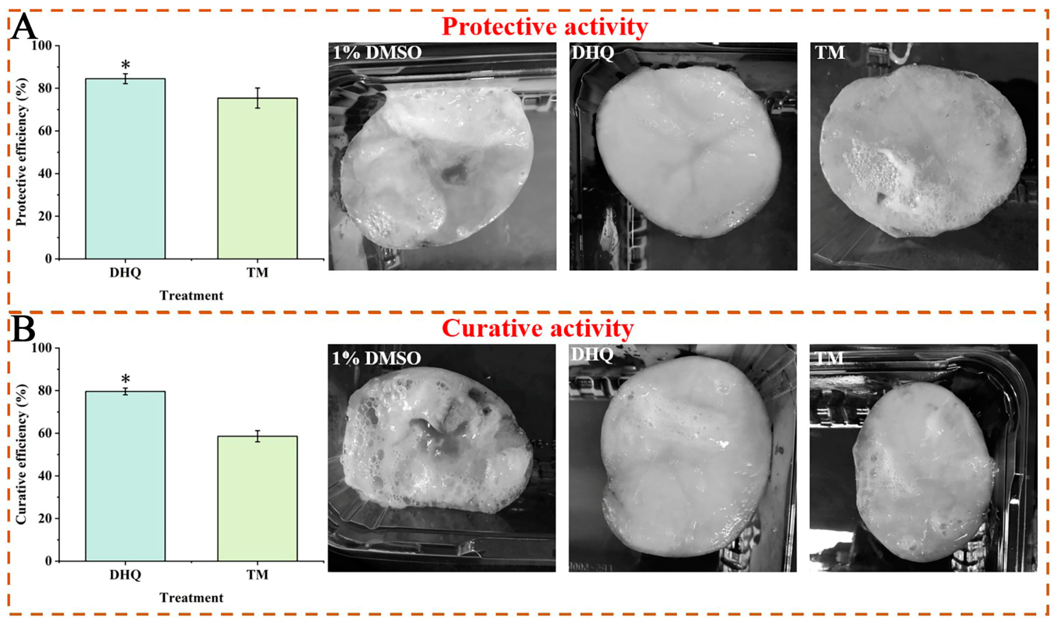 Antibacterial Activity Of DHQ Antibacterial Activity Of DHQ