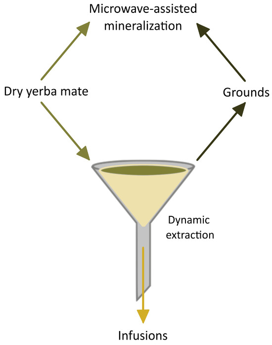 Leaves, Infusion, and Grounds—A Three–Stage Assessment of Element ...