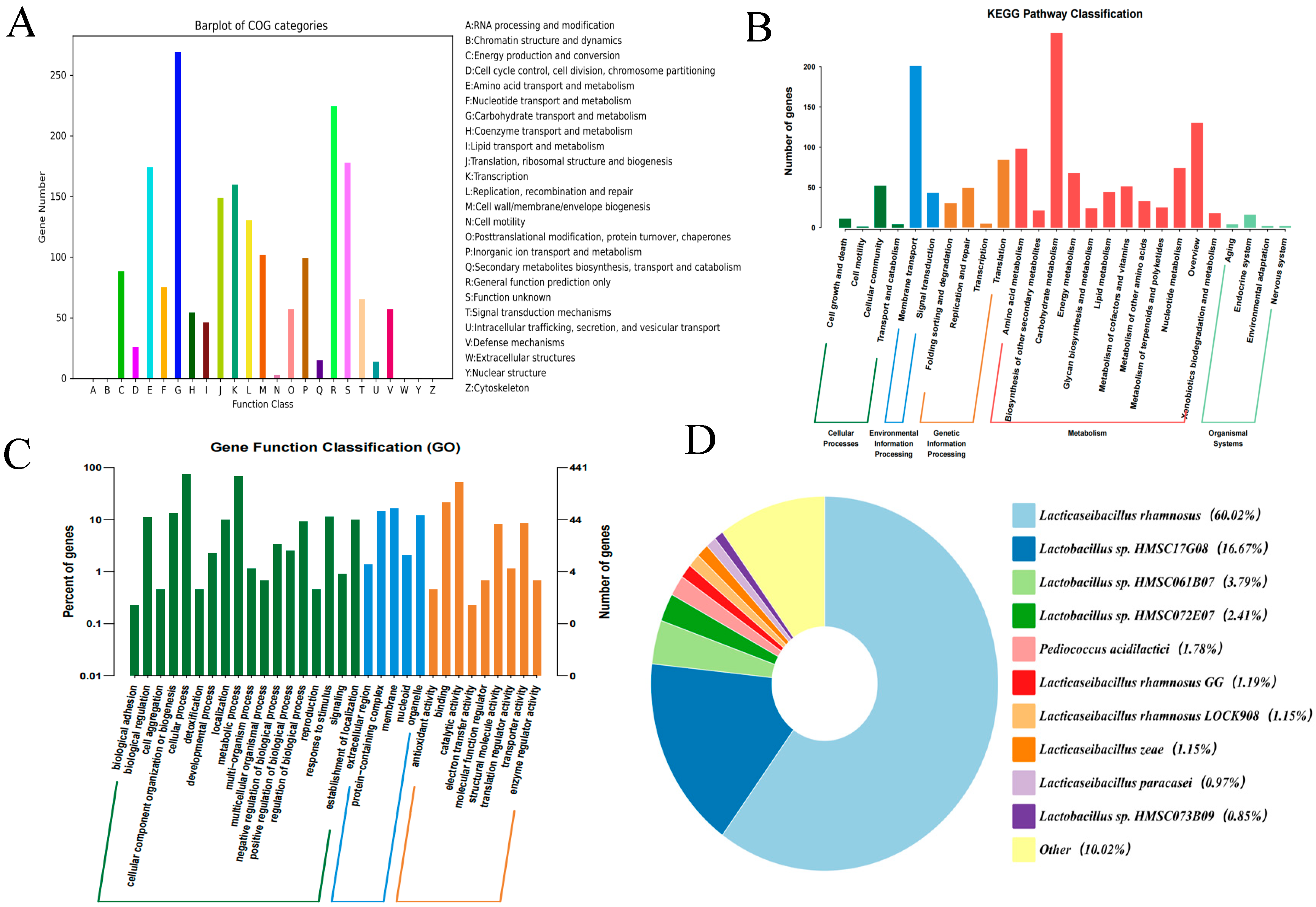 Foods | Free Full-Text | Unveiling a Novel Antidote for Deoxynivalenol ...