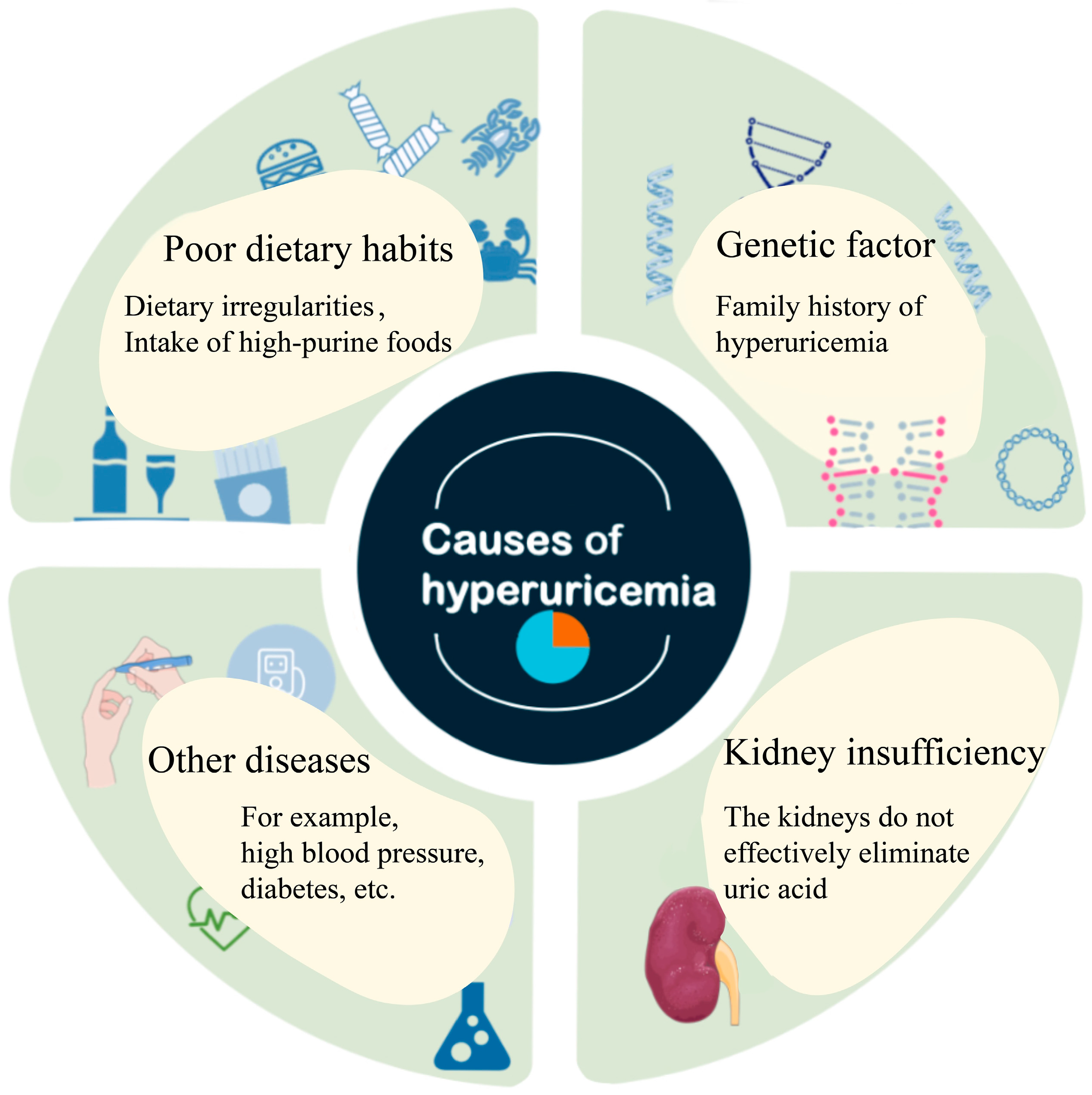 Investigating The Role Of Food-derived Peptides In Hyperuricemia: From 