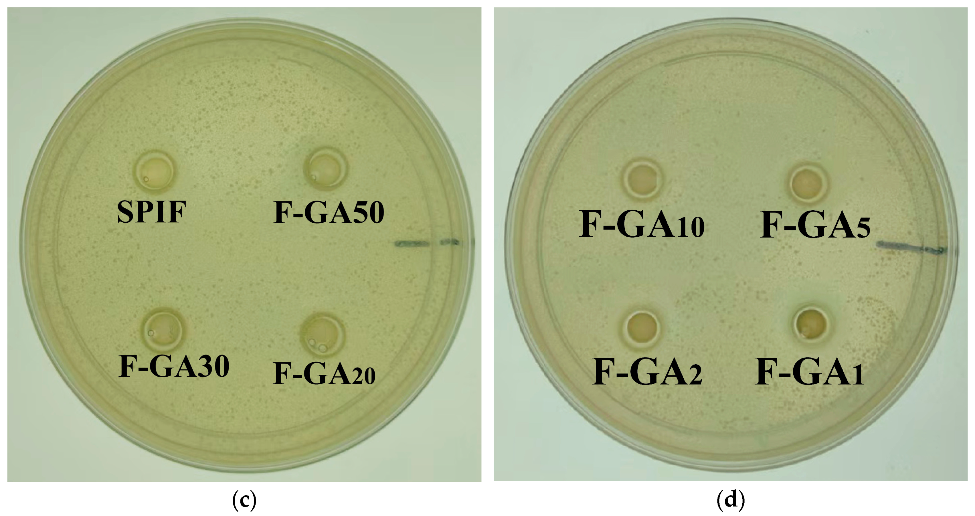 Effect of the Number of Gallate Groups of Polyphenols on the