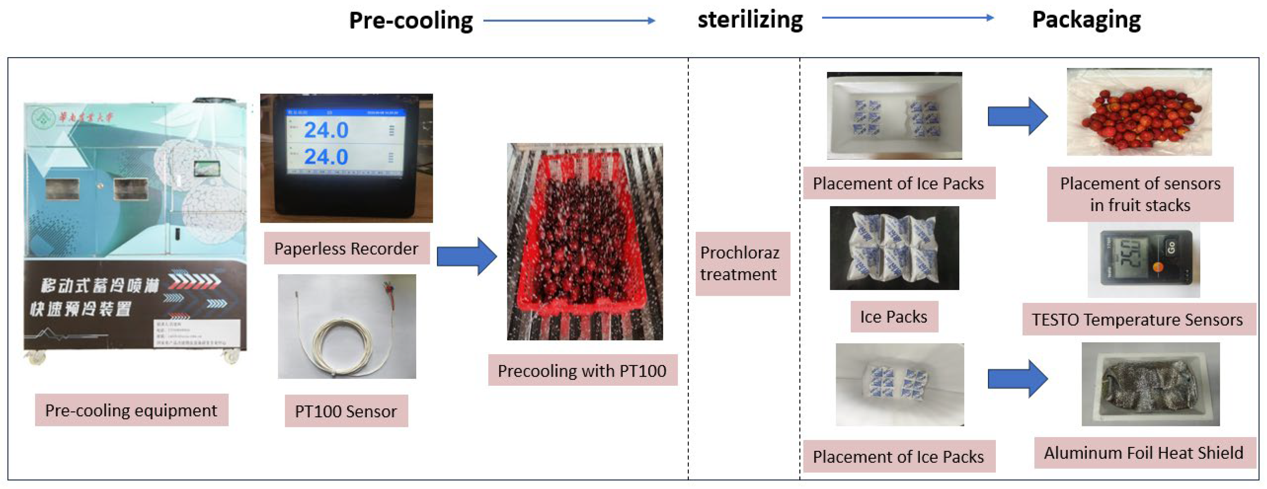 Effects of Different Litchi E-Commerce Logistics Packaging