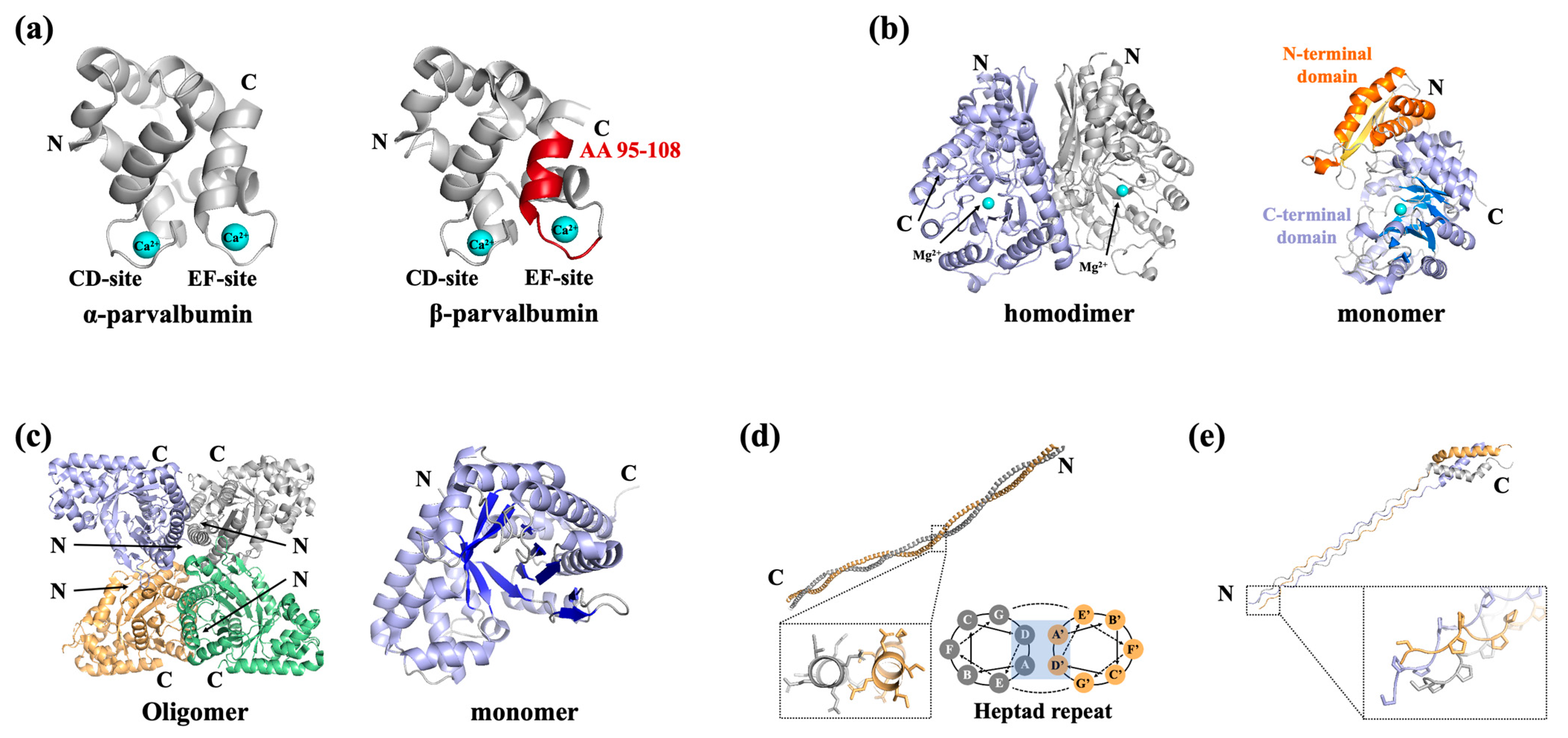 Tree（初回限定盤） An Overview of Seafood Allergens: Structure–Allergenicity