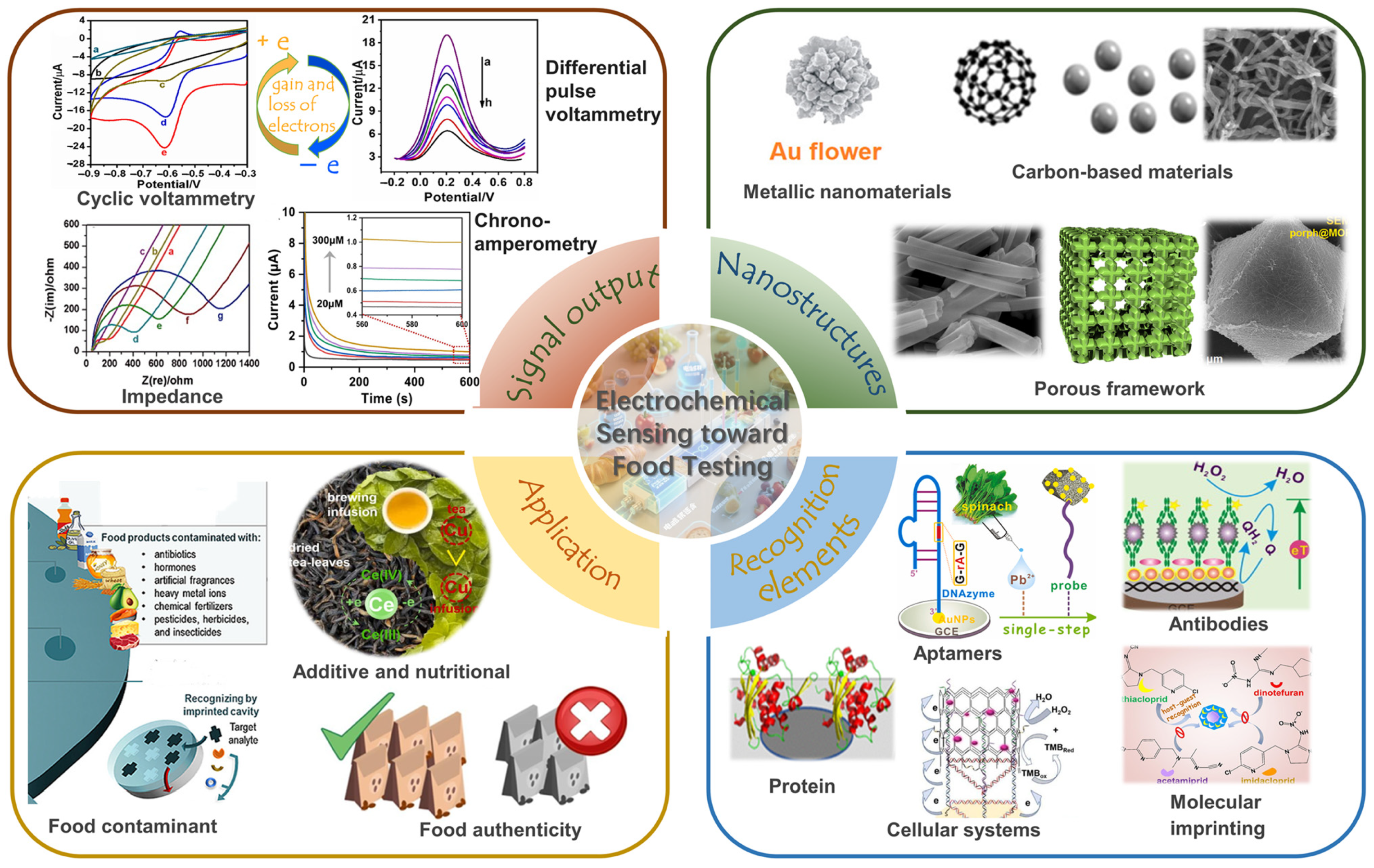 Electrochemical Biosensors Driving Model Transformation for