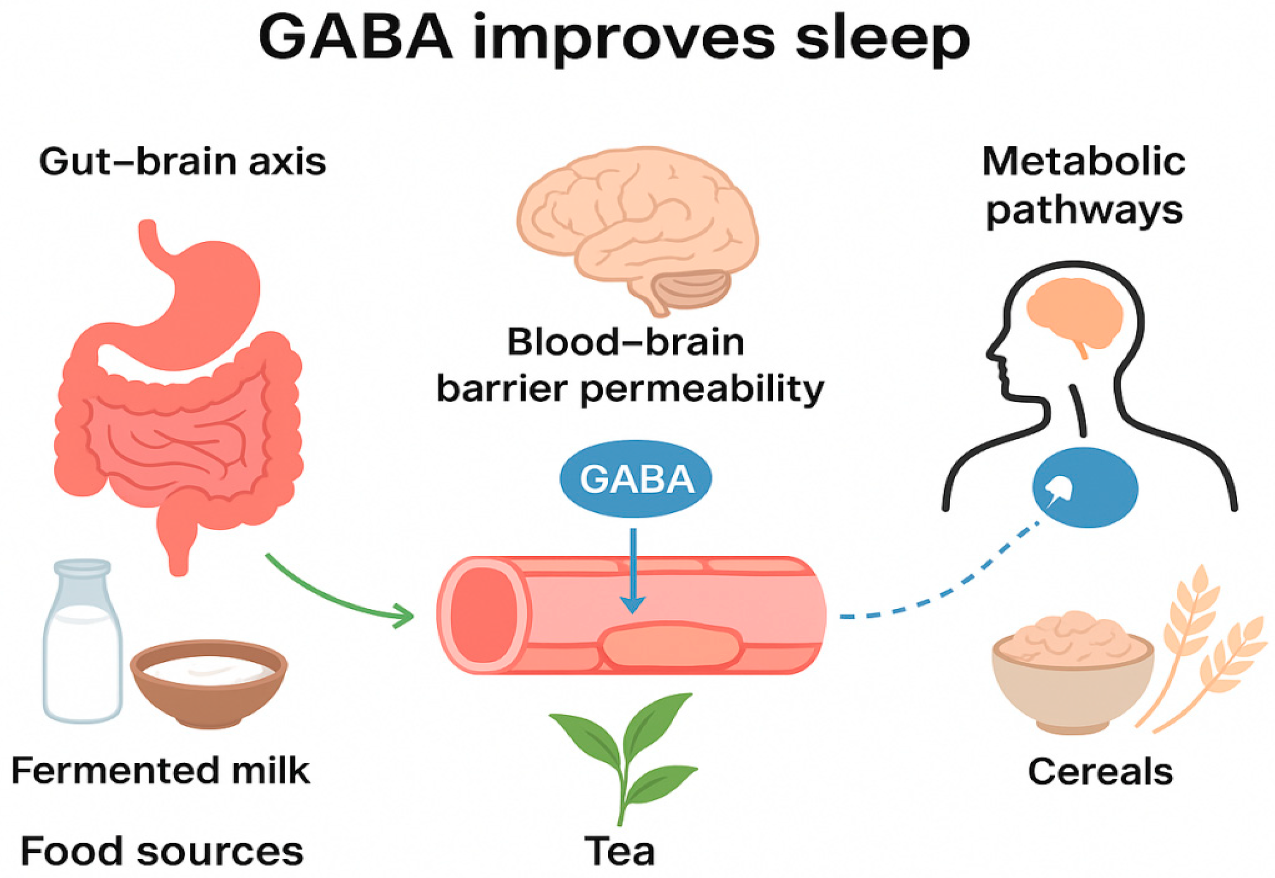 Progress In Research On The Mechanism Of GABA In Improving Sleep Progress In Research On The Mechanism Of GABA In Improving Sleep