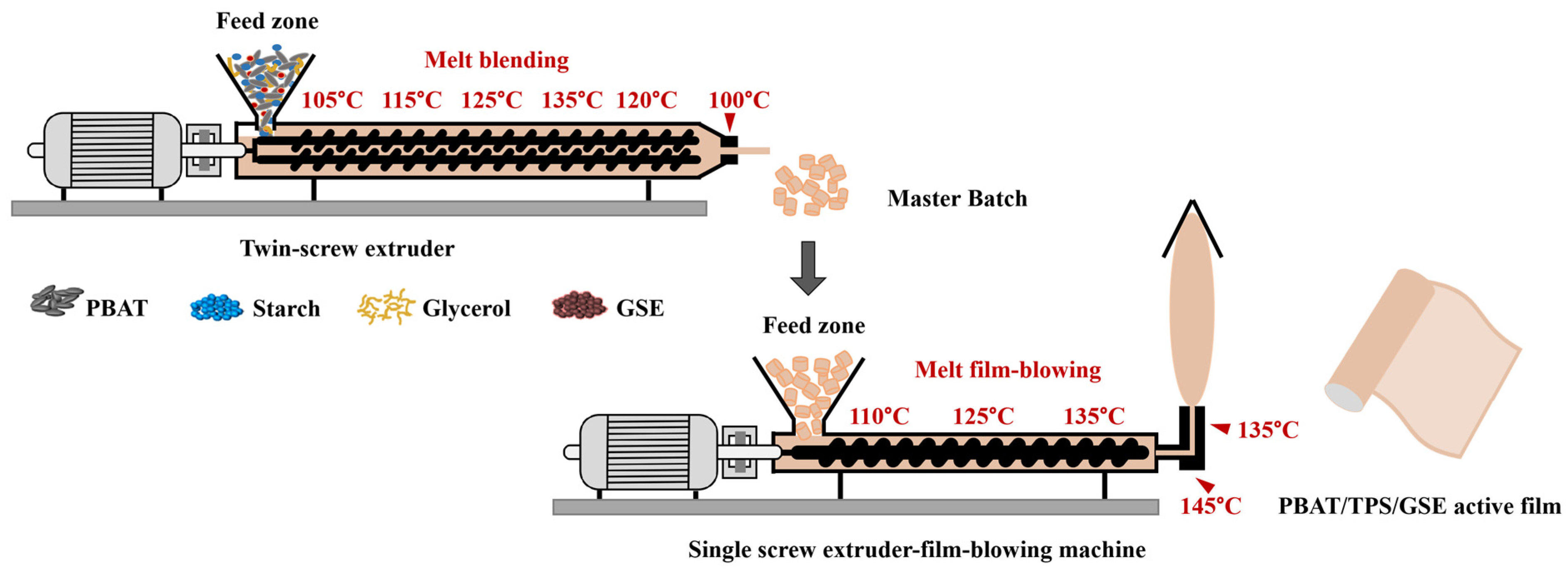 Extrusion-Blown PBAT/Thermoplastic Starch (TPS) Active Films