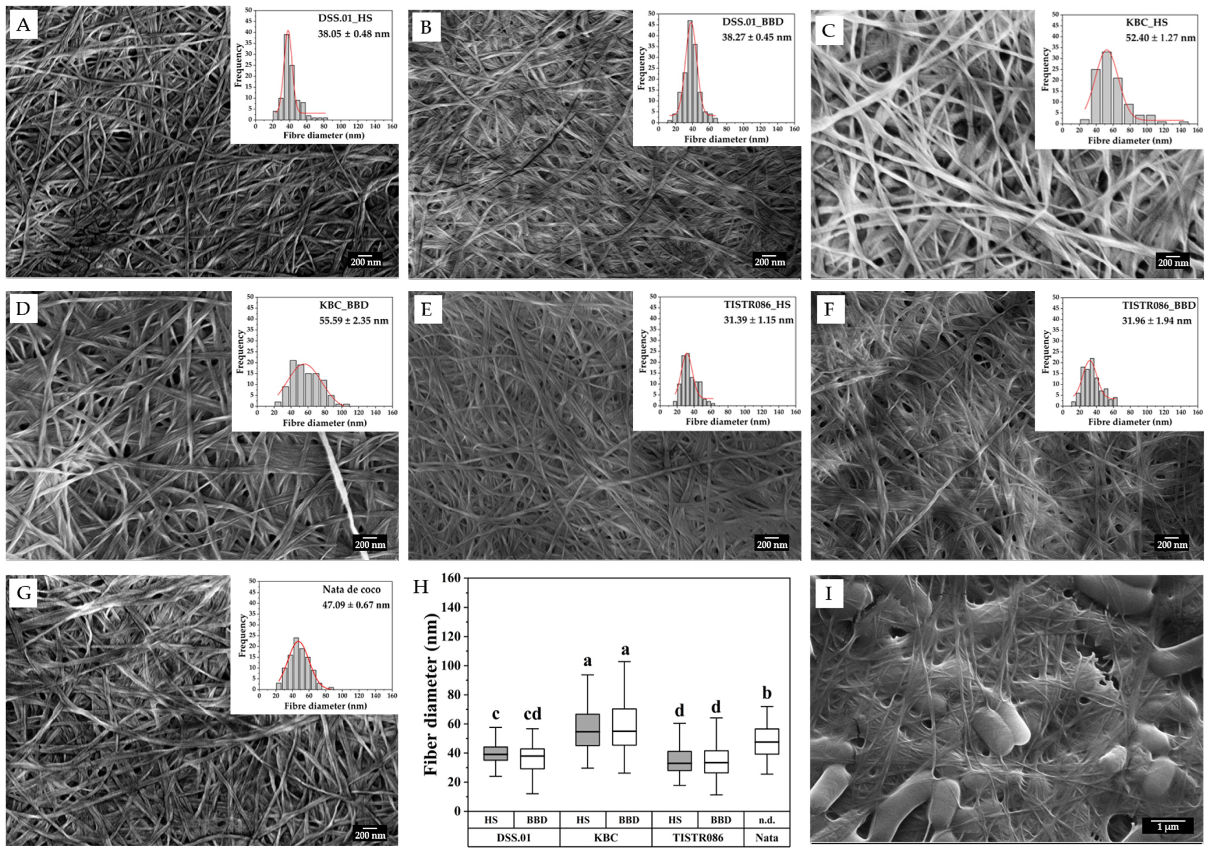 Bacterial Cellulose Production by a Novel Levilactobacillus brevis ...